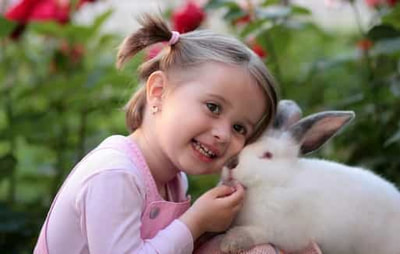 Young girl with a pet white bunny